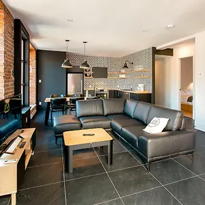 Appartement Les Lofts St-vallier By Les Lofts Vieux 
